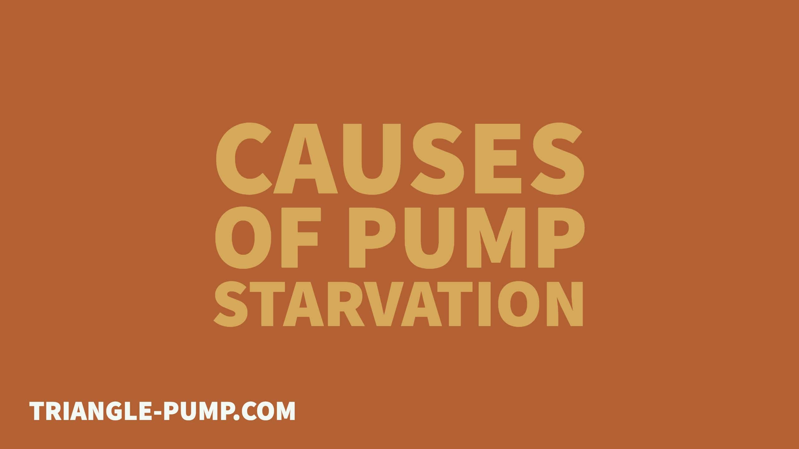 Reciprocal Pumps in the Oil Gas Industry